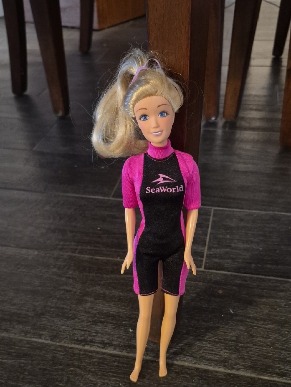 Mattel Barbie Doll in Pink and Black SeaWorld Wetsuit